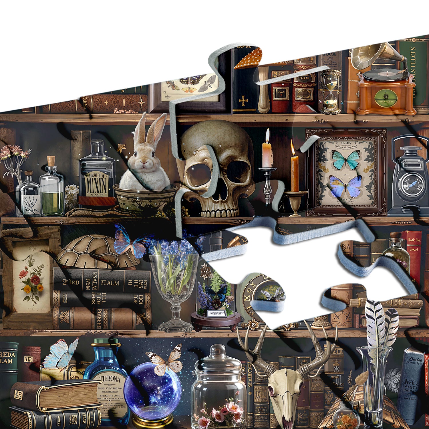 Mystic Shelf Jigsaw Puzzle 1000 Pieces