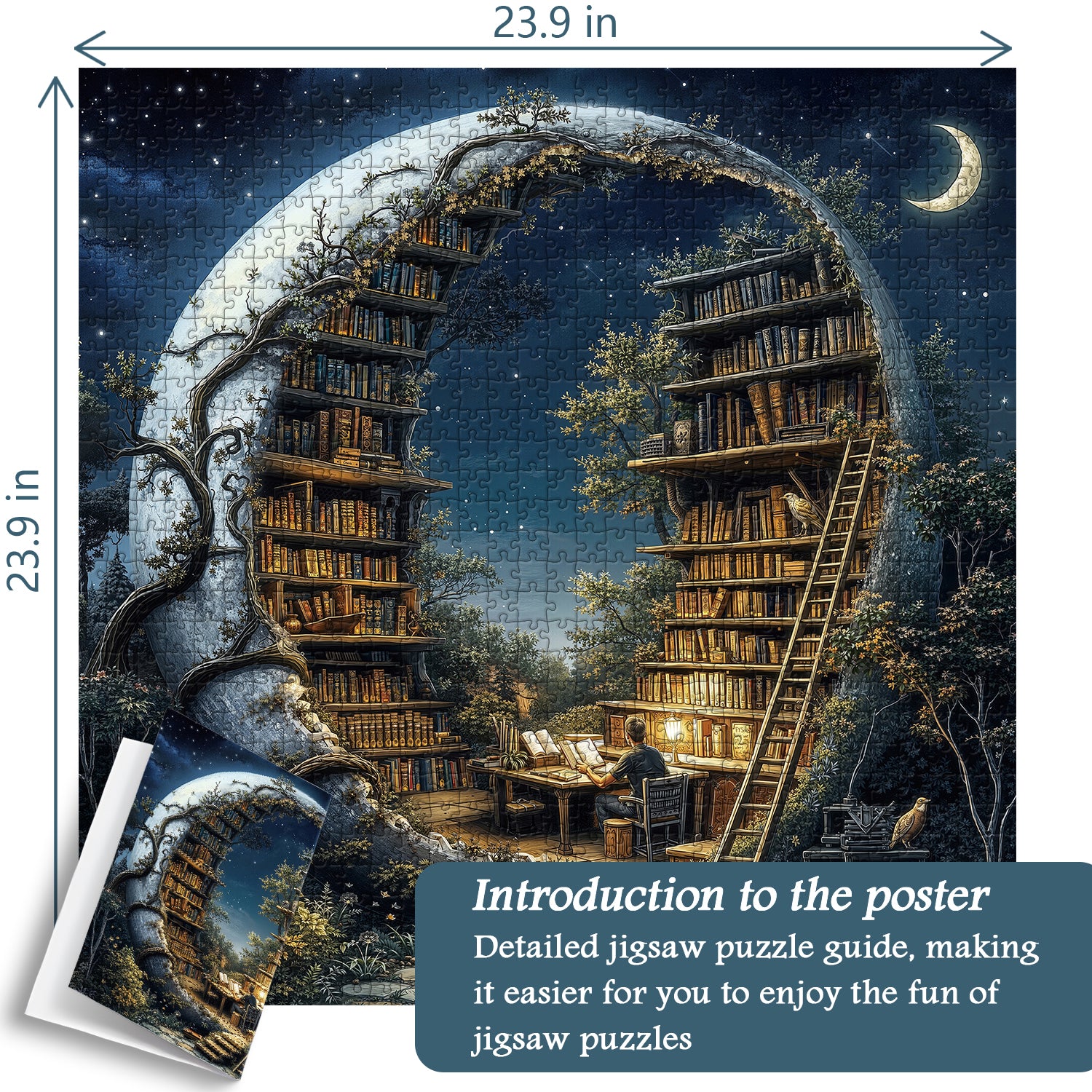 Star Vault Jigsaw Puzzle 1000 Pieces