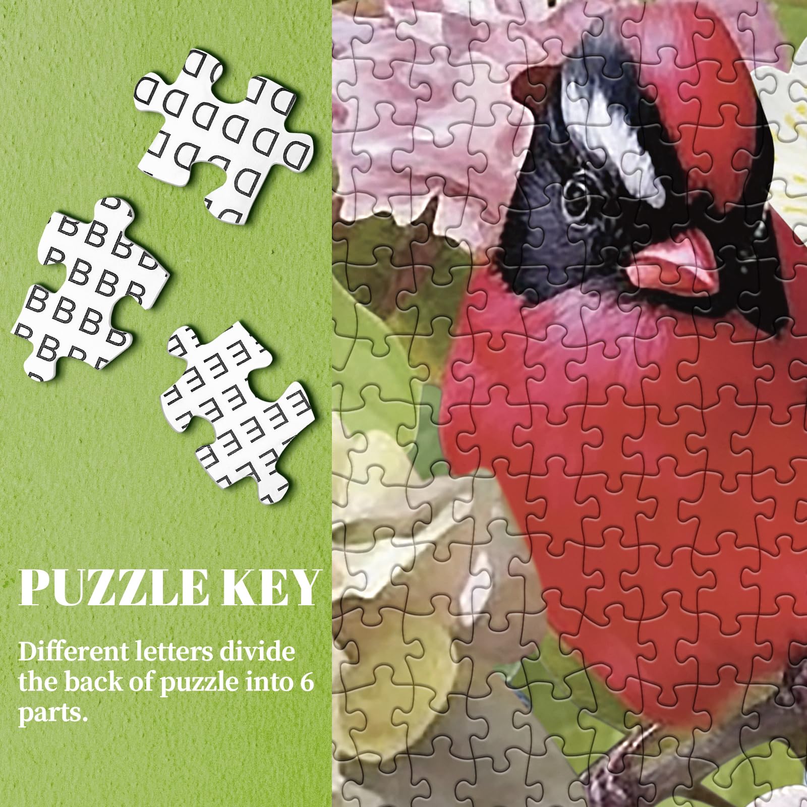 Bboldin® Bird garden jigsaw puzzle 1000 pieces