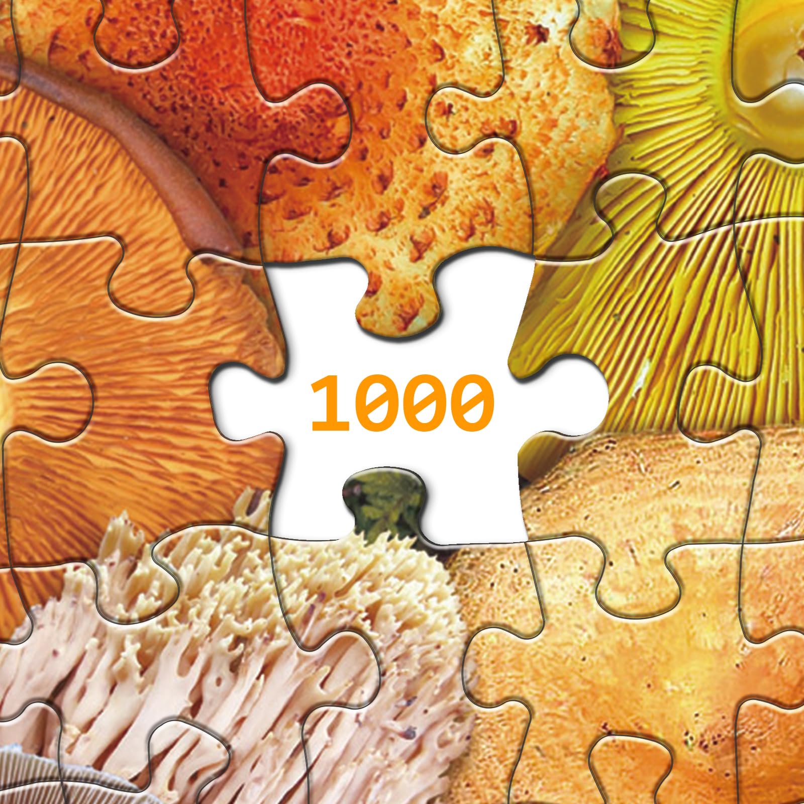 Bboldin® Colorful Mushroom Jigsaw Puzzle 1000 Pieces