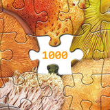 Bboldin® Colorful Mushroom Jigsaw Puzzle 1000 Pieces