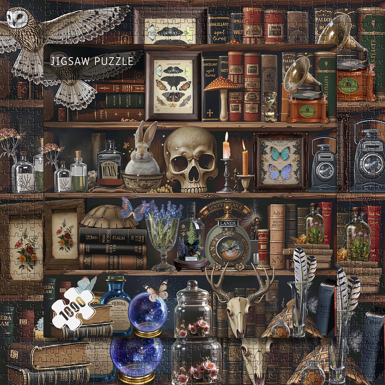 Mystic Shelf Jigsaw Puzzle 1000 Pieces