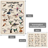 Bboldin® Hummingbirds Jigsaw Puzzles 1000 Pieces