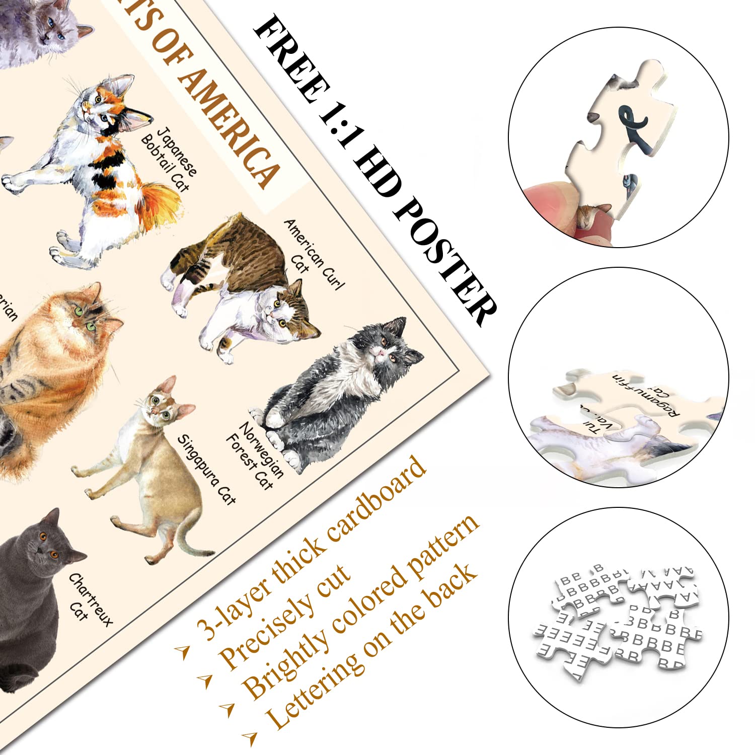 Bboldin® Cutest Cats Jigsaw Puzzle 1000 Pieces