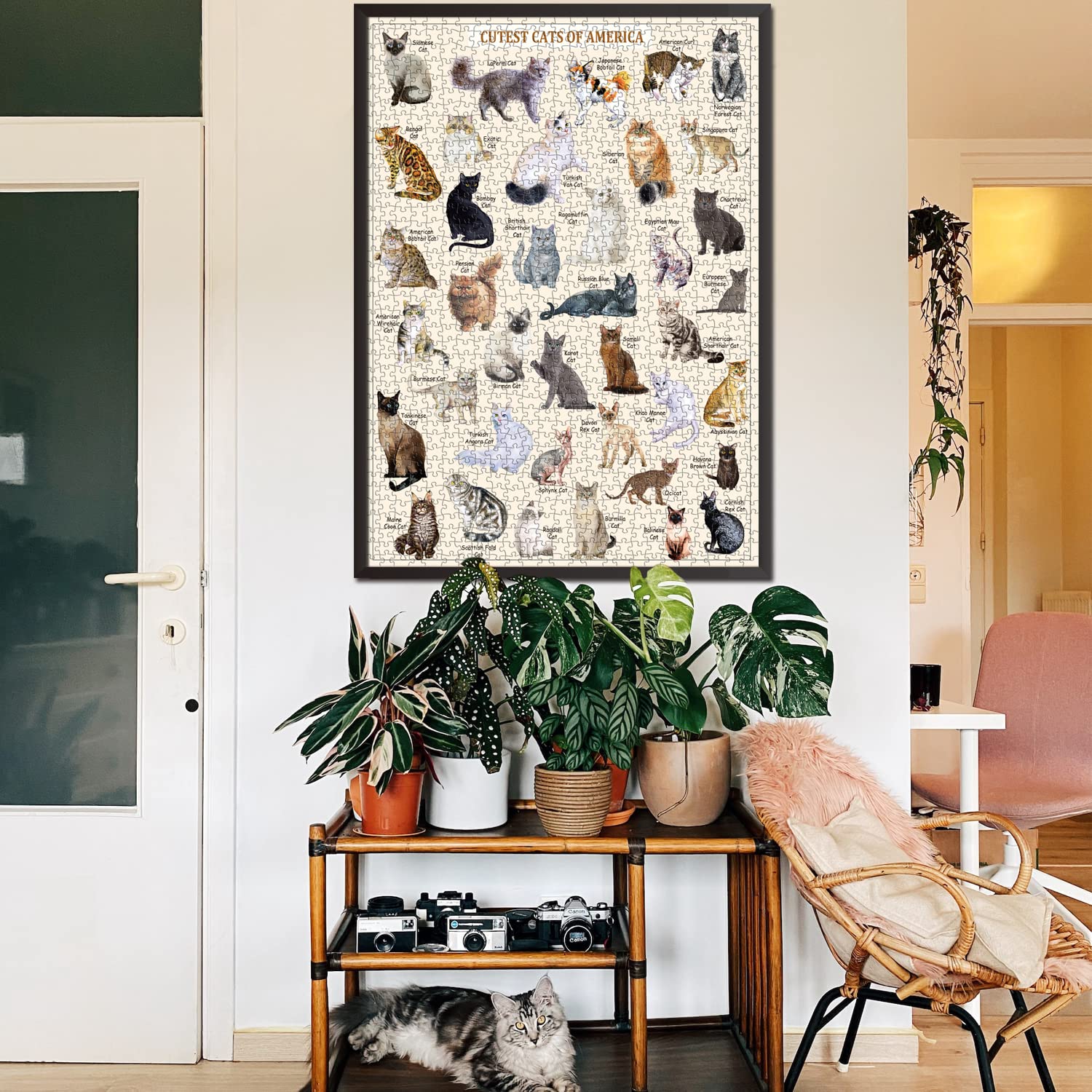 Bboldin® Cutest Cats Jigsaw Puzzle 1000 Pieces