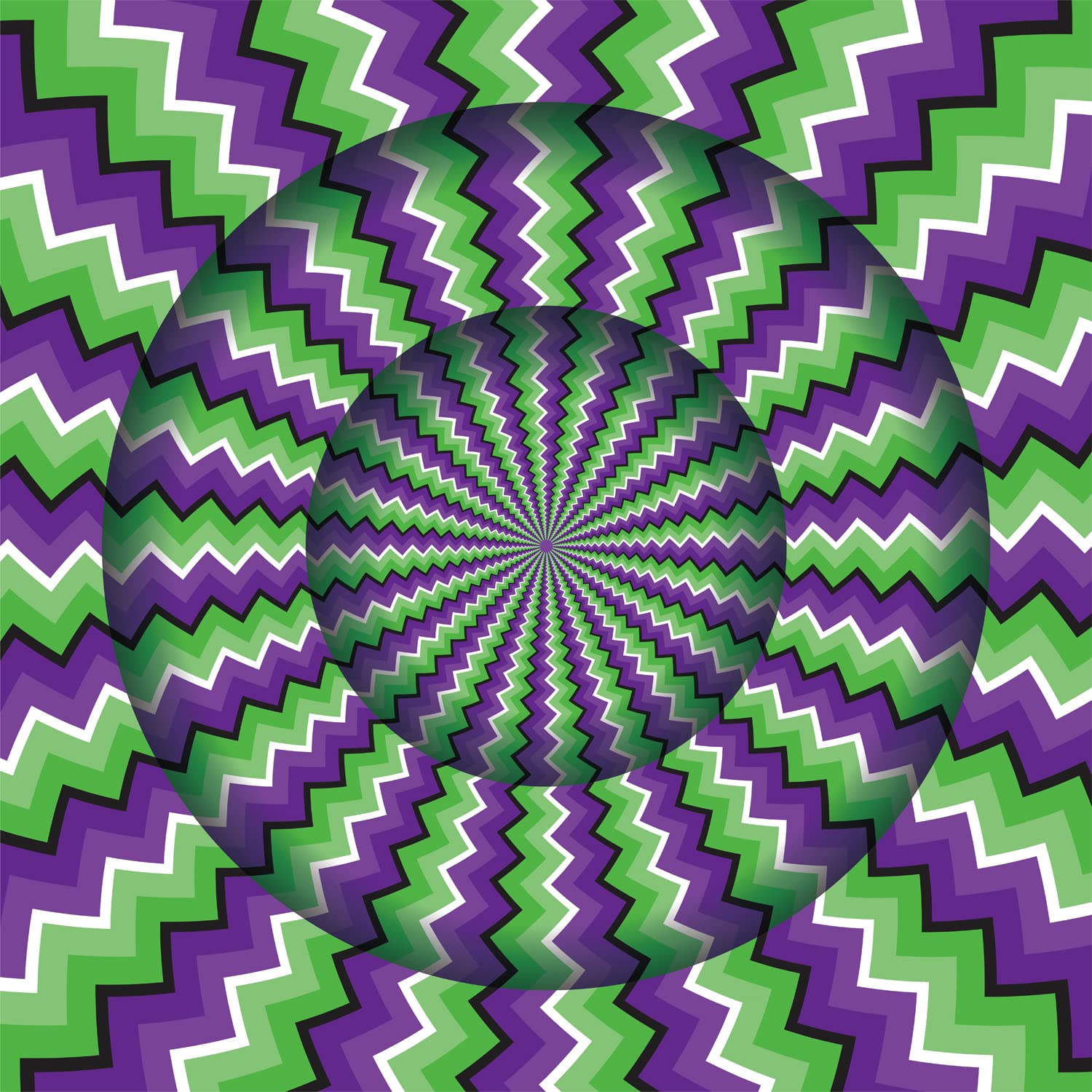 Bboldin® 3D Rotating Ripple Jigsaw Puzzles 1000 Pieces