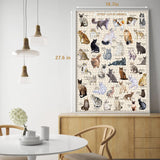 Bboldin® Cutest Cats Jigsaw Puzzle 1000 Pieces