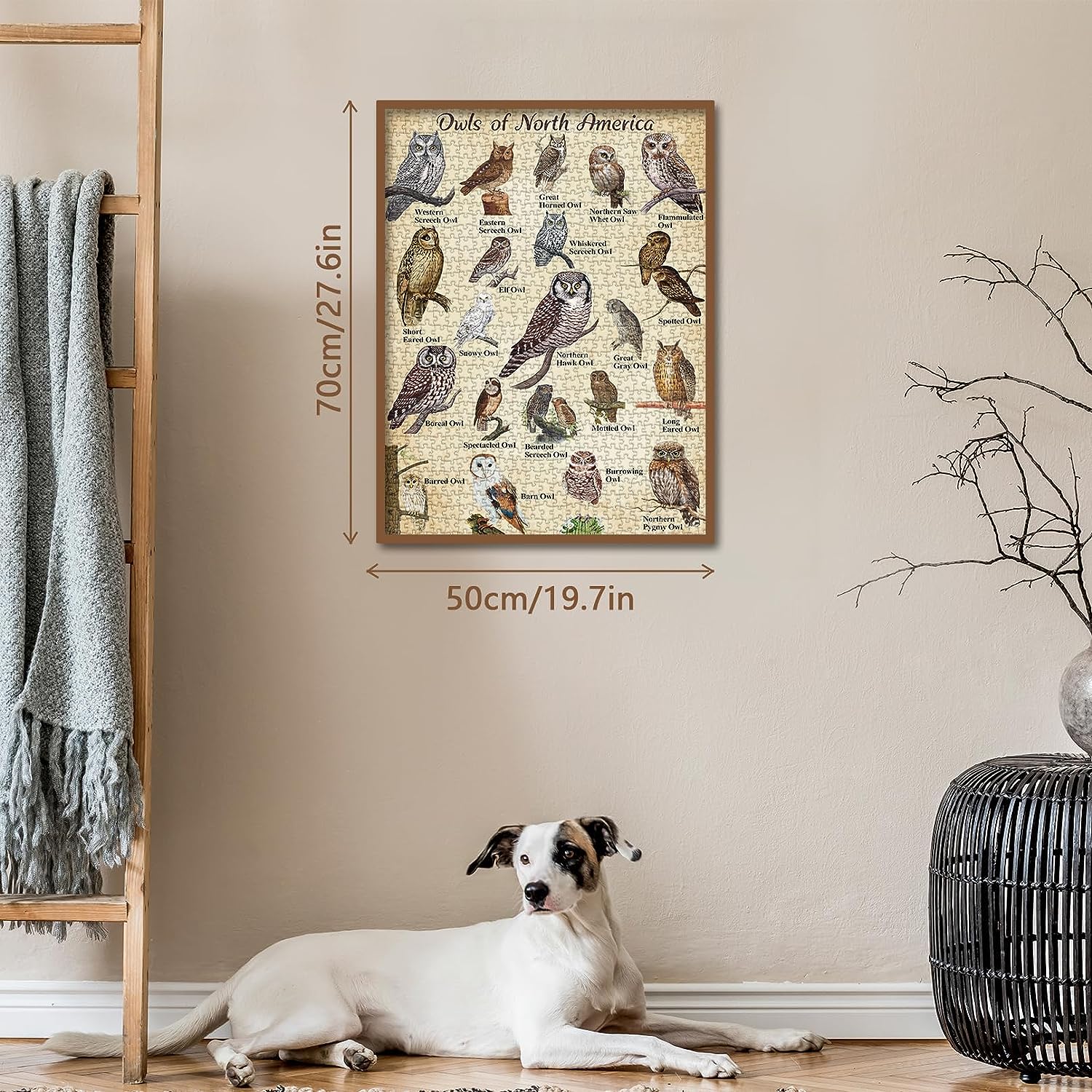 Bboldin® Owl Jigsaw Puzzle 1000 Pieces