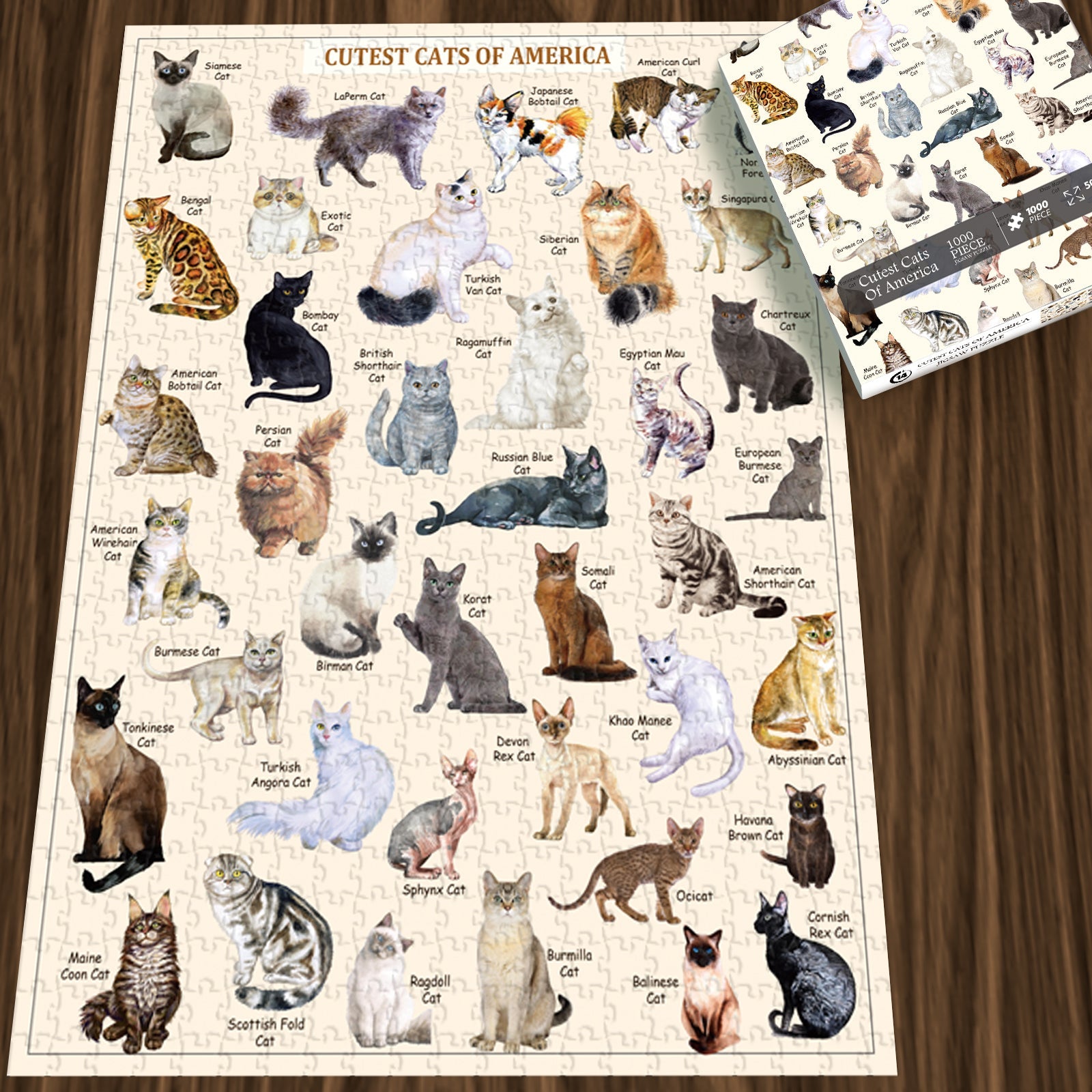 Bboldin® Cutest Cats Jigsaw Puzzle 1000 Pieces