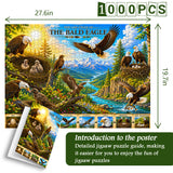 Eagle Life Cycle Jigsaw Puzzle 1000 Pieces