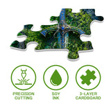 Forest Relic Jigsaw Puzzle 1000 Pieces