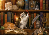 Bookshelf Kittens Jigsaw Puzzle 1000 Pieces