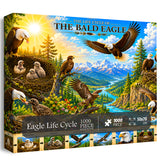 Eagle Life Cycle Jigsaw Puzzle 1000 Pieces