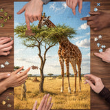 Hungry Giraffe Jigsaw Puzzle 1000 Pieces