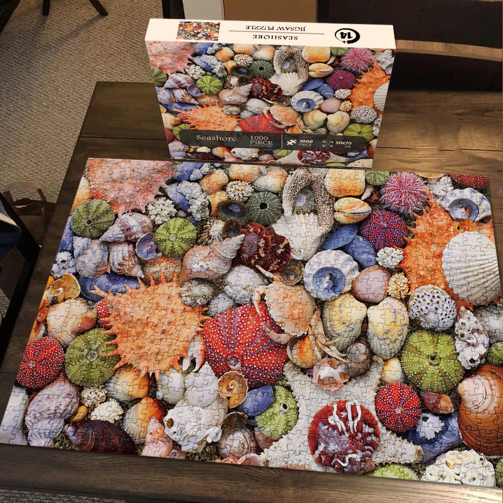 Bboldin® Colorful Seashell Jigsaw Puzzle 1000 Pieces bboldin
