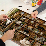 Cat Library Jigsaw Puzzle 1000 Pieces