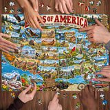 Birds of America Jigsaw Puzzle 1000 Pieces