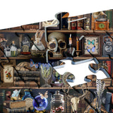 Mystic Shelf Jigsaw Puzzle 1000 Pieces