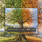 Seasons of an Apple Tree Jigsaw Puzzle 1000 Pieces