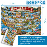 Birds of America Jigsaw Puzzle 1000 Pieces