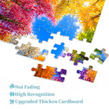 Rainbow Forest Jigsaw Puzzle 1000 Pieces