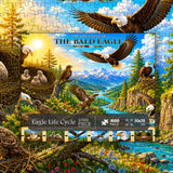 Eagle Life Cycle Jigsaw Puzzle 1000 Pieces