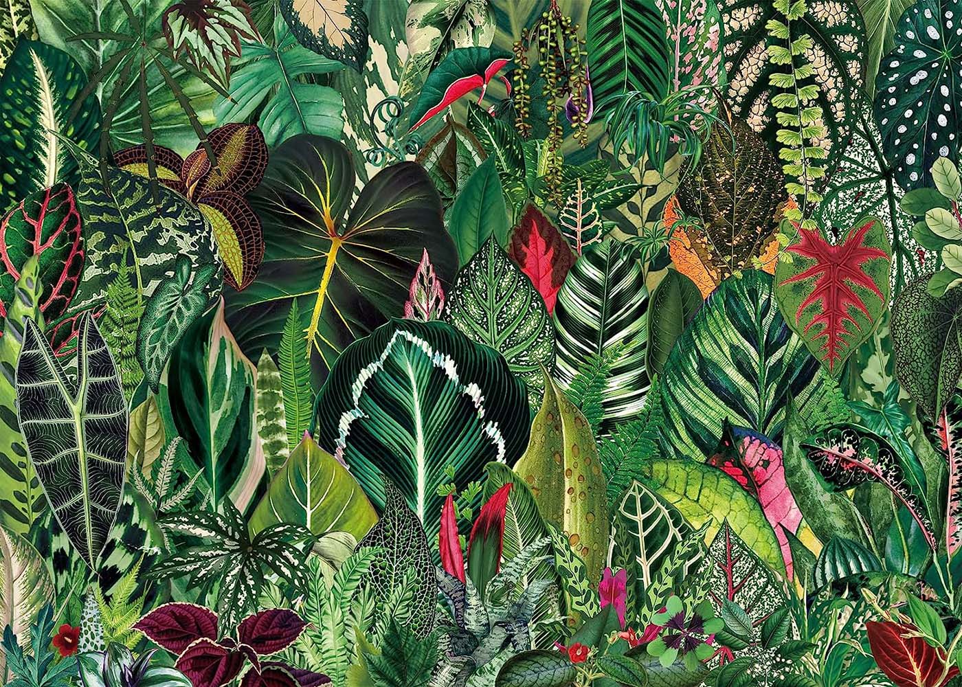 house plant jungle Houseplant Jungle Jigsaw Puzzle 1000 Pieces