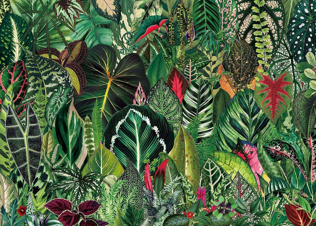 Bboldin® Houseplant Jungle Jigsaw Puzzle 1000 Pieces bboldin