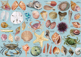 Bboldin® Ocean Theme Shells Jigsaw Puzzles 1000 Pieces