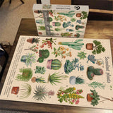 Bboldin® Vintage Succulent Jigsaw Puzzle 1000 Pieces