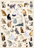 Bboldin® Cutest Cats Jigsaw Puzzle 1000 Pieces