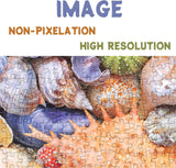 Bboldin® Colorful Seashell Jigsaw Puzzle 1000 Pieces
