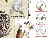 Bboldin® Owl Jigsaw Puzzle 1000 Pieces