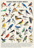 Bboldin® Vintage Bird Jigsaw Puzzles for Adults 1000 Pieces