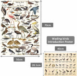 Bboldin® Vintage Wading Bird Jigsaw Puzzle 1000 Pieces